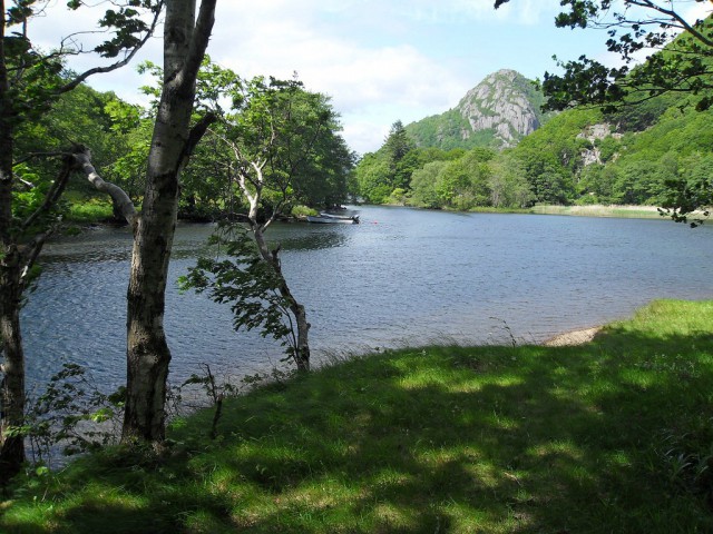 k-sdc10062.jpg 