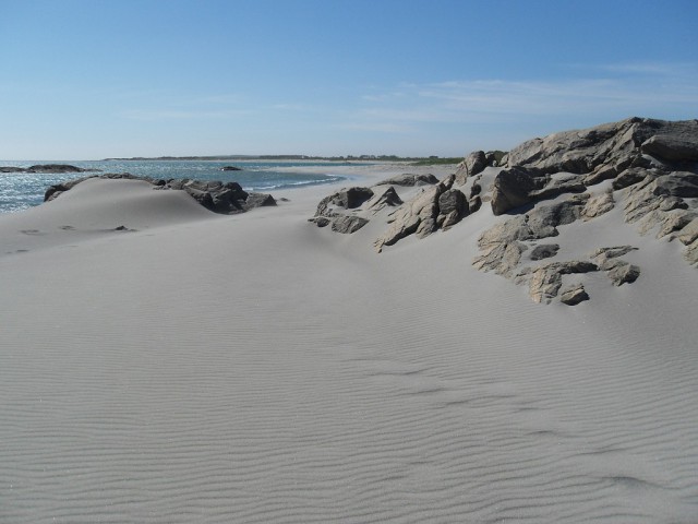 k-sdc10074.jpg 