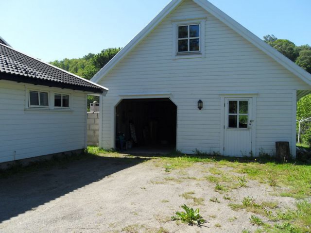 sdc10245.jpg 