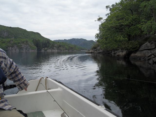 sdc10271.jpg 