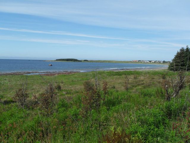 sdc10273.jpg 