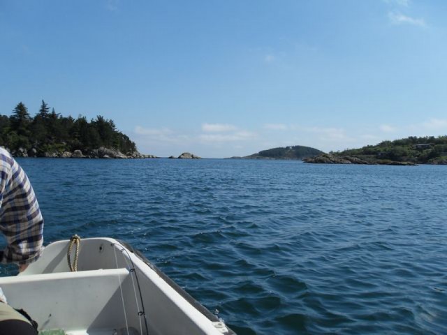 sdc10279.jpg 