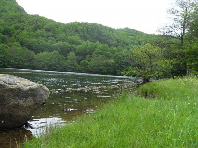 sdc10286.jpg 