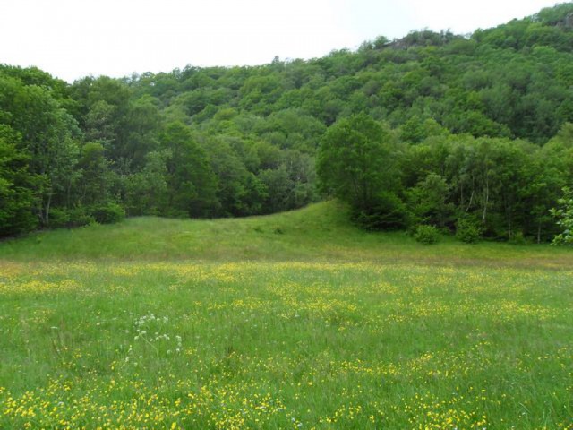 sdc10287.jpg 