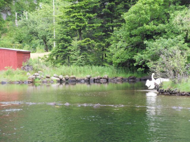 sdc10288.jpg 