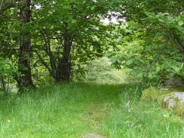 sdc10290.jpg 