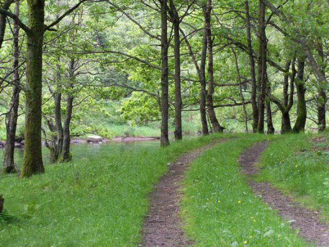 sdc10292.jpg 
