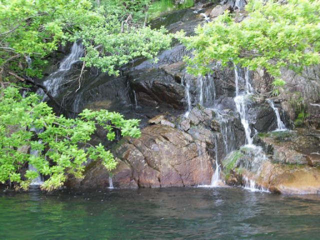 sdc10296.jpg 