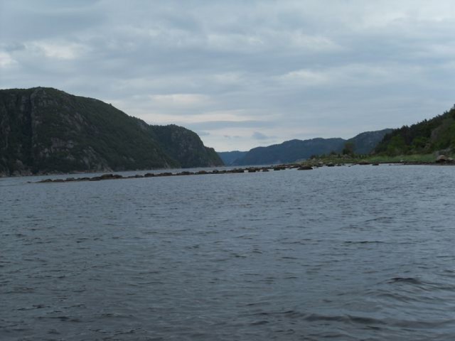 sdc10300.jpg 