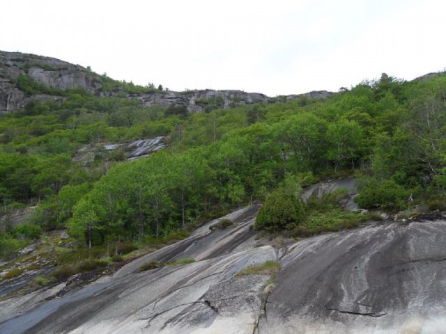 sdc10302.jpg 