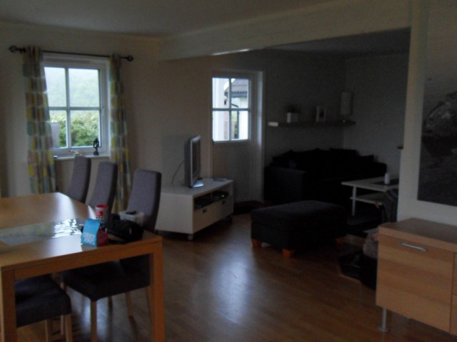 sdc10313.jpg 