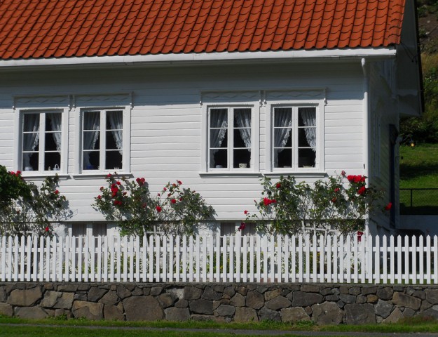 sdc10646.jpg 