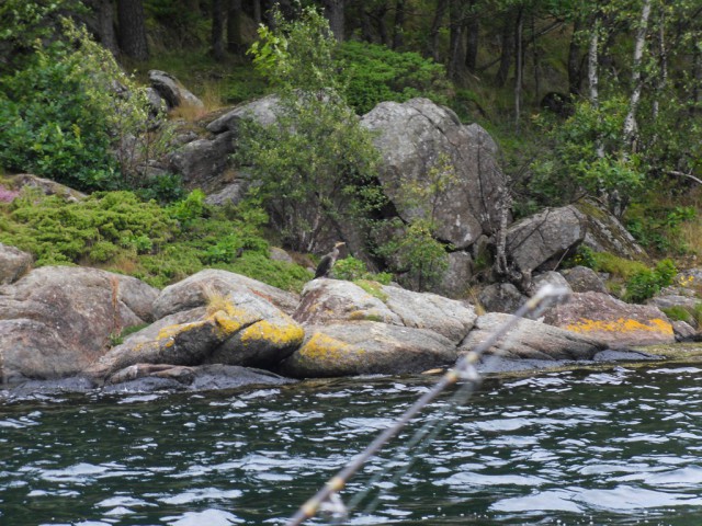 sdc10652.jpg 