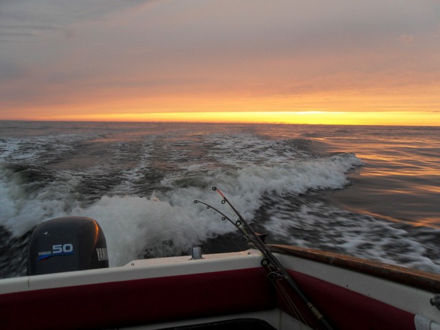 sdc10684.jpg 