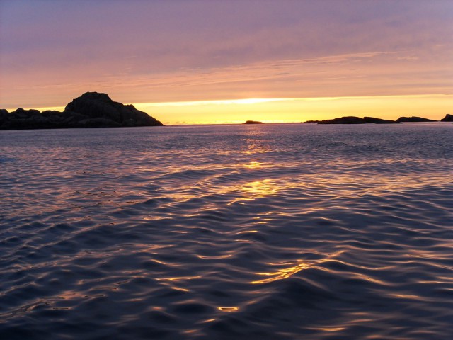 sdc10686.jpg 